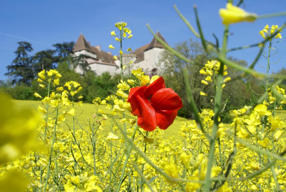 Château de Goudourville