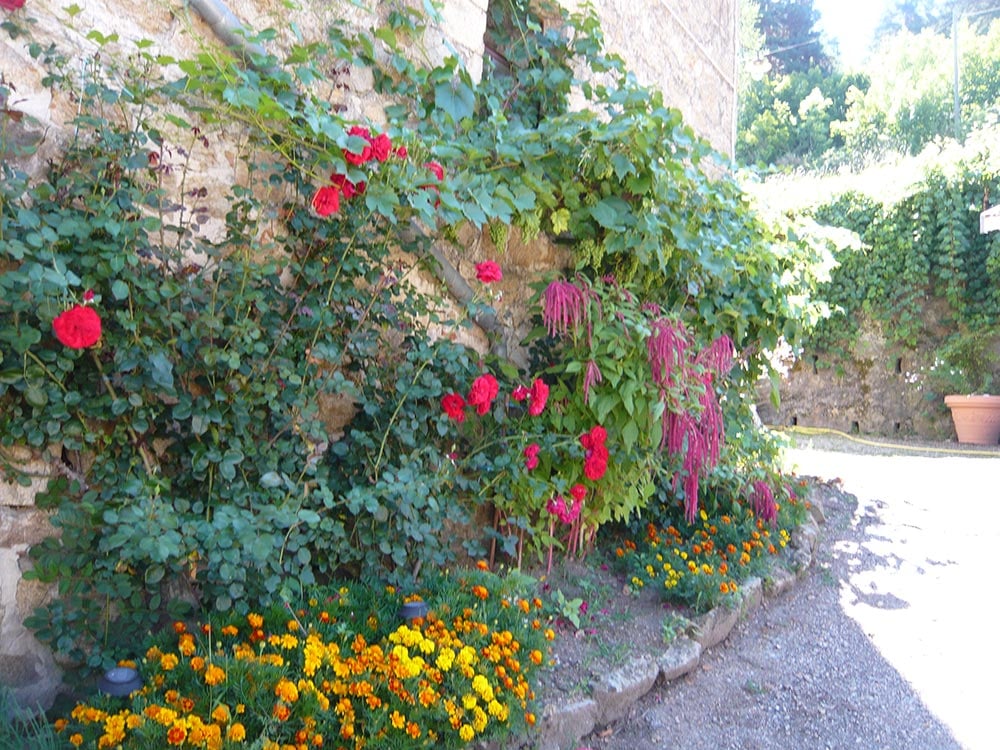 Cour du Château de Pralong