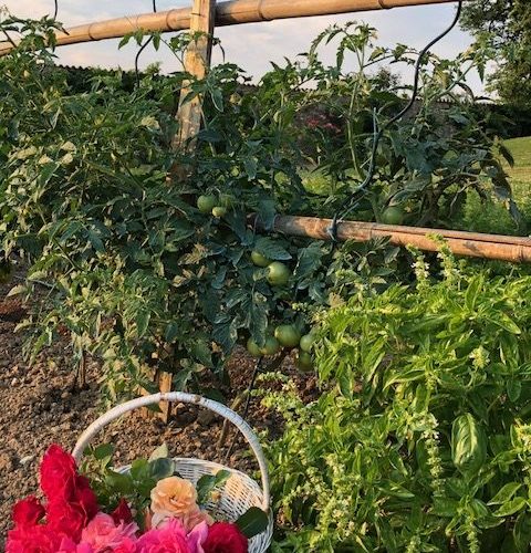 Fleurs et légumes