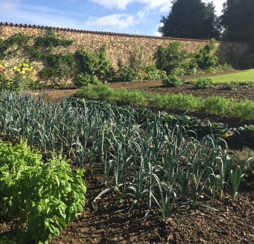 Le potager Bio de la Meynardie