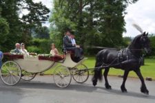 Calèche en location au château de la Douve