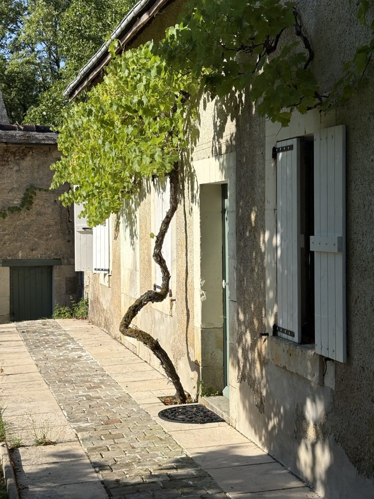 Maison des invités