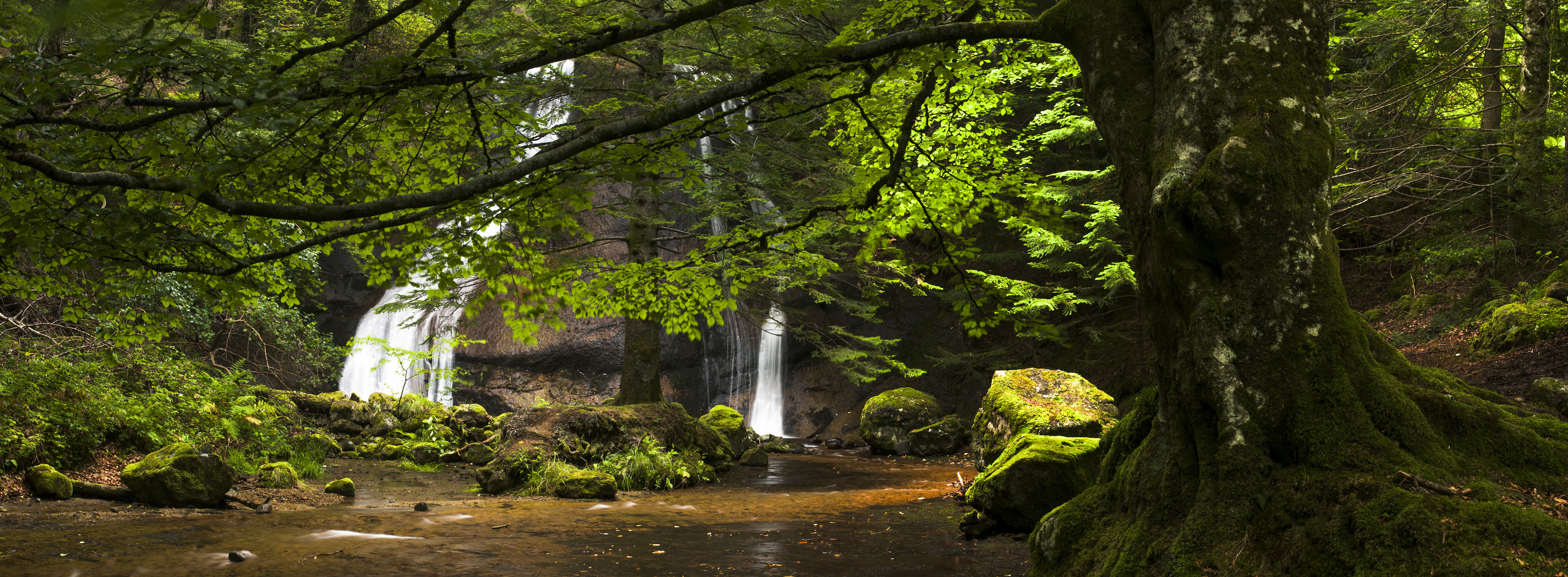 River in the Auvergne natural park