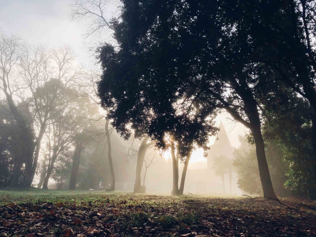 Parc du Château de Riveneuve - Château en location pour séjour toute l'année - mariage hiver