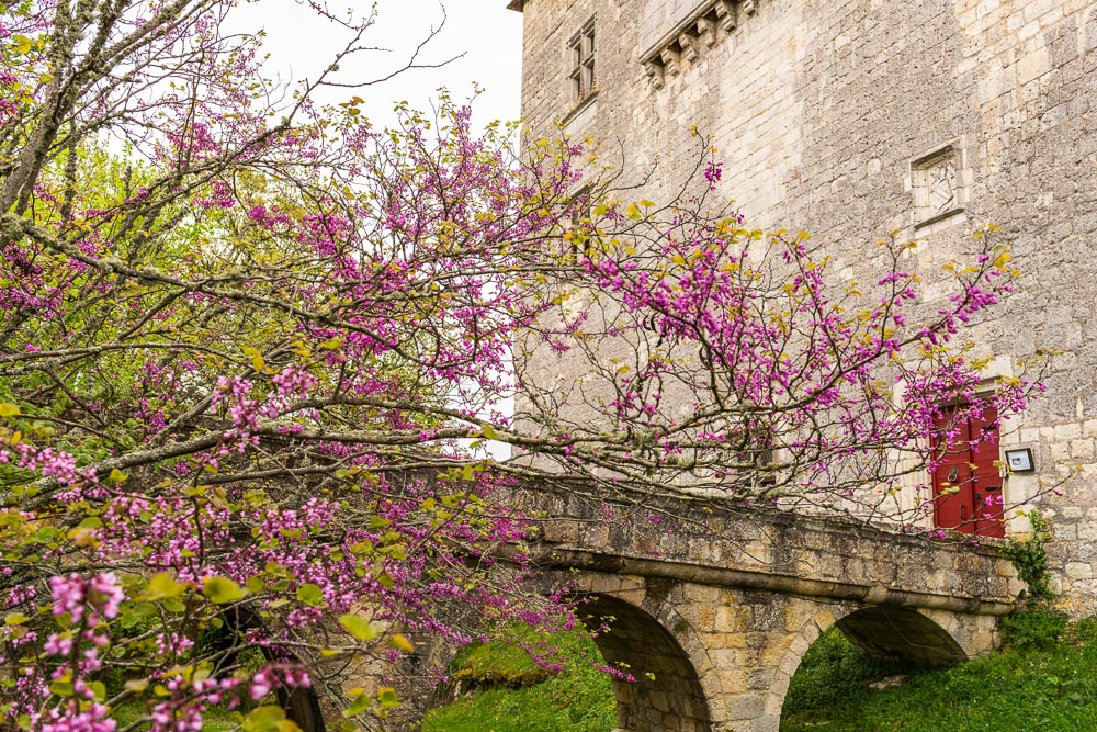 Château de Goudourville