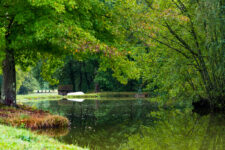 Le parc autour de la maison