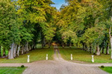 Les arbres remarquables du Château de La Bouillerie