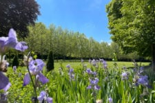 Les jardins du château.