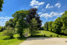 Les jardins du château.