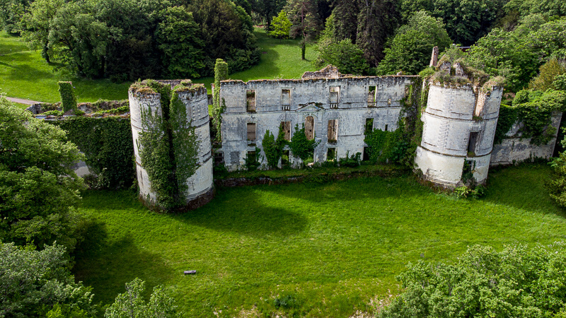 The Ruin of Château de Montgoger