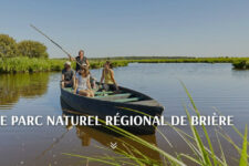 Brière Nature oiseaux ballades 25 km