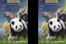 Zoo de Beauval - (30 min)