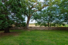 The private park of Château du Trioulou