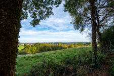 The view from Château du Trioulou