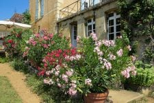 Château de Garraube