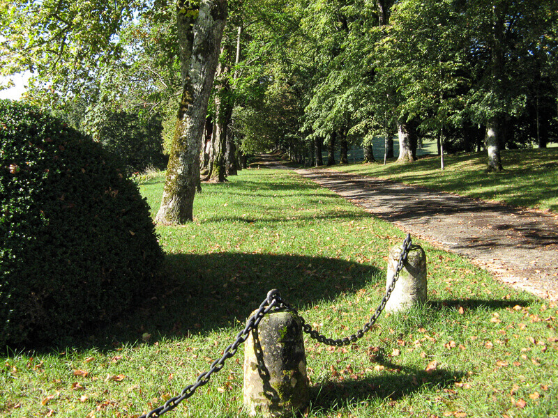 Une route bordée d'arbres dans le domaine du château de Garraube