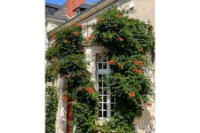 La bigogne du Château Amore