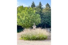 Les Gauras du Château Amore