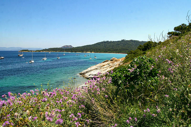 Île de Porquerolles Île de Porquerolles