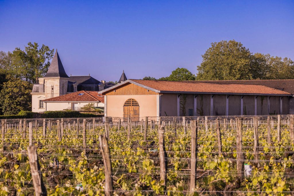 Vignes du Château des Bloys